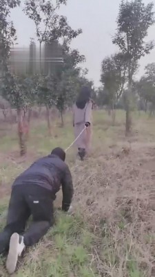 【药神】户外遛狗骑马活埋 bf5278_绳艺资料库视频资源下载