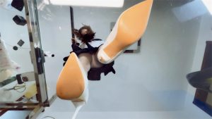 【婧児小主】女学妹晓G把我缩小了 GTS 玻璃足底丝袜棉袜POV YC-220601-4_绳艺资料库视频资源下载