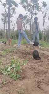 超强野外双S遛狗【上】 JS2204301_绳艺资料库