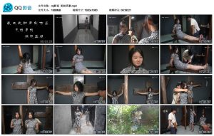 【mj影视】姐妹英豪_绳艺资料库视频资源下载