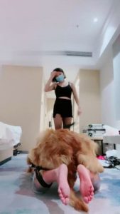【莫妮卡】家奴犬化实录第二弹 bf17752_绳艺资料库视频资源下载