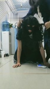 【情侣月儿】CD变装奴-耳光/圣水/锁电击 bf6954_绳艺套路直播视频资源网