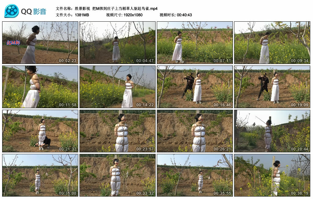 【胜景影视】把M绑到庄子上当稻草人驱赶鸟雀_绳艺资料库