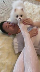 【风吟女神】双S踩踏碾压狗奴直播 bf8120_绳艺资料库视频资源下载