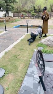 套路直播视频【宸宸】双S户外遛狗-清理脏泥靴底/喝地上脏水【双视角版】bf26780_绳艺资料库