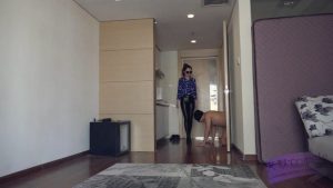 超级原味臭棉袜,脏鞋底调教贱狗_绳艺资料库