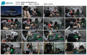 【胜景影视】圈养宠物拍摄花絮_绳艺资料库
