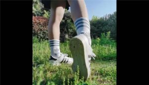 【执念S】户外训练人型犬_绳艺资料库