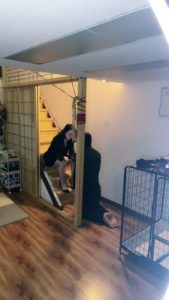 套路直播视频【十月】日式调教室首调废物 bf24641_绳艺资料库