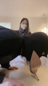 【欣蕊】开发新人做狗 bf22348_绳艺资料库视频资源下载
