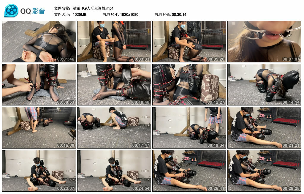【涵涵】K9人形犬_绳艺套路直播视频资源网