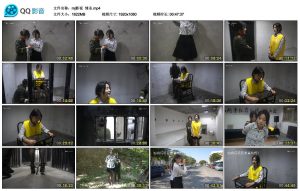 【mj影视】情杀_绳艺资料库视频资源下载
