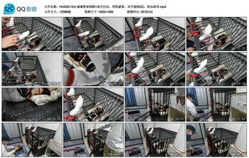 HUI 潼潼果体围裙+真空白丝，雪糕盛宴，双开强制GC，欲仙欲死_绳艺套路直播视频资源网