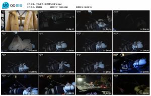 【半岛束艺】海语驷马回家记_绳艺资料库