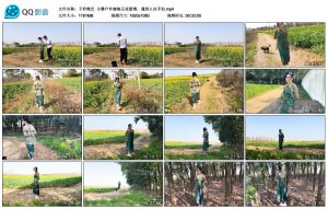 【子衿绳艺】小雅户外旗袍五花紧缚，遇到人也不怕_绳艺资料库视频资源下载