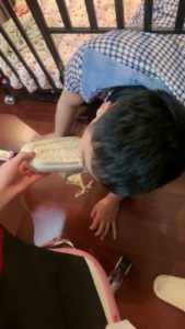 套路直播视频【桃幼幼】狗笼 圈养踩踏食物喂食/强制深喉 bf24544_绳艺资料库