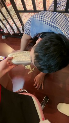 套路直播视频【桃幼幼】狗笼 圈养踩踏食物喂食/强制深喉 bf24544_绳艺资料库