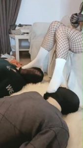 【飞扬女王】白棉袜踩踏双狗 bf9976_绳艺资料库视频资源下载
