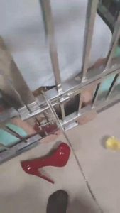 【乐姐】保姆一天的生活【上】 bf15294_绳艺套路直播视频资源网