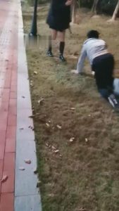 【丹祖宗】双S户外遛狗专场 bf8938_绳艺资料库视频资源下载