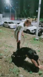 【梦蝶女王】户外遛狗专场 bf16564_绳艺资料库视频资源下载