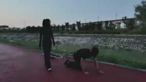 【药神】雨天户外遛狗 bf12697_绳艺资料库视频资源下载