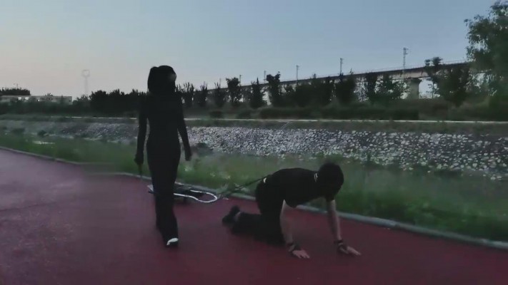 【药神】雨天户外遛狗 bf12697_绳艺套路直播视频资源网