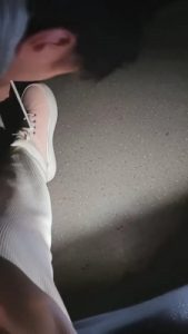 【奶味小仙女】电影院舔鞋舔脚调 bf22552_绳艺资料库视频资源下载