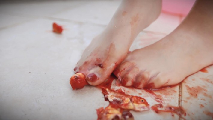 〖H.P.L栖心之栈〗—尔岚肉丝踩金鱼 HPL-230108_绳艺资料库