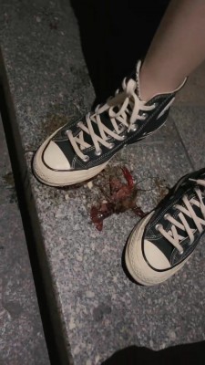 套路直播视频【万一】各种鞋子踩踏碾压小龙虾 bf25203_绳艺资料库