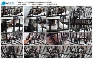 【面具男】女声伪娘jiojio笼中强迫抬头绝望拘禁疯狂电击_绳艺资料库视频资源下载