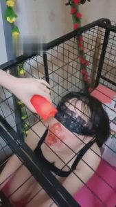 【女慕乐】囚禁玩弄狗笼里的骚母狗 bf3512_绳艺资料库视频资源下载
