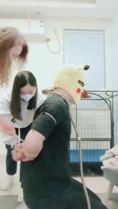 套路直播视频【安静大大】母女S-圈养邻居狗虐待【双视角版】 bf24640_绳艺资料库