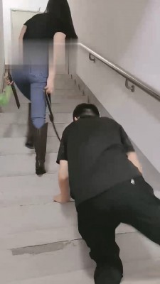 【美帝】御姐楼道遛狗 bf17774_绳艺资料库视频资源下载
