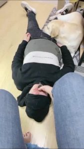 套路直播视频【小布丁S】人不如狗系列（二） bf25070_绳艺资料库