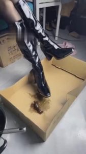 【深圳万一S】踩踏碾压小龙虾 bf12205_绳艺资料库视频资源下载