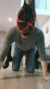 套路直播视频【失心S】马靴S骑马犬化专场 bf26370_绳艺资料库