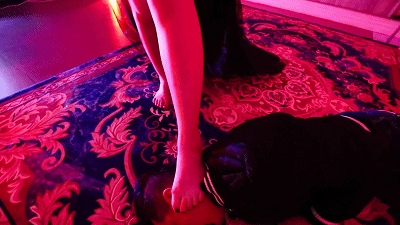 〖H.P.L栖心之栈〗—东京食尸鬼同人剧场：暴踢篇_绳艺资料库