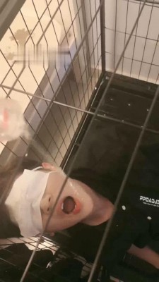 【陌初】多主群调圈养狗【四视角版】 JS220902202_绳艺资料库视频资源下载