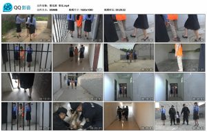 【梨花雨】寒花_绳艺资料库视频资源下载