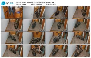 【我的媳妇】连身黑丝肉丝长达一个小时的剥夺感官驷马放置_绳艺资料库视频资源下载