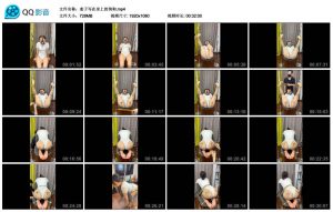 麦子写在身上的狗狗_绳艺资料库