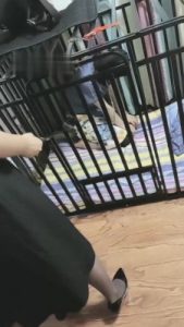 【慕田S】犬化母畜全过程【完整版】_绳艺资料库