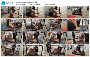 【随心绳艺】杨蕊 笼中的空姐_绳艺套路直播视频资源网