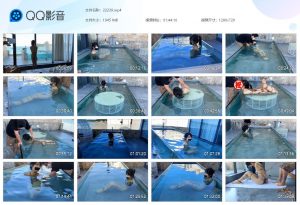 【欢乐谷】游泳池里的驷马捆绑_绳艺资料库视频资源下载
