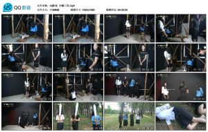 【mj影视】巾帼三英_绳艺资料库视频资源下载
