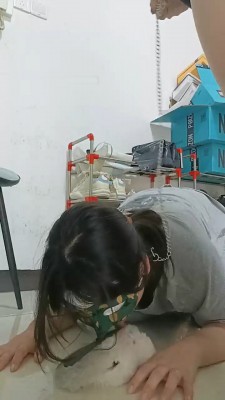 图片[4]_【爱可呀】母畜-胯下辱/舔脏鞋/骑马转胯_绳艺套路直播视频资源网