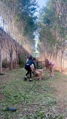 图片[3]_【沅芷大人】4S户外处刑-麻袋套-暴力鞭打/踢踹_绳艺资料库视频资源下载