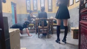 【沅芷大人】圈养群调群虐-桌底下虐【下】【双视角完整版】_绳艺资料库视频资源下载