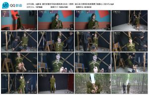 【mj影视】潜伏者_绳艺资料库视频资源下载
